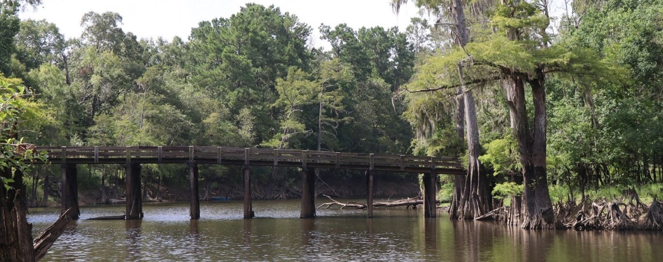 Alligator Park Bridge (2)