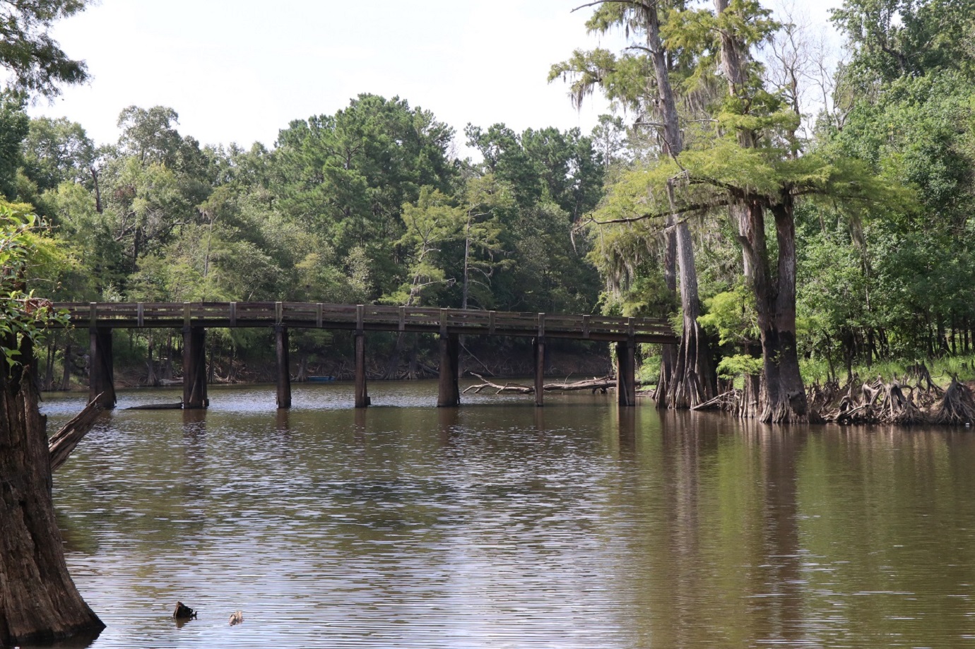 Alligator Park Bridge