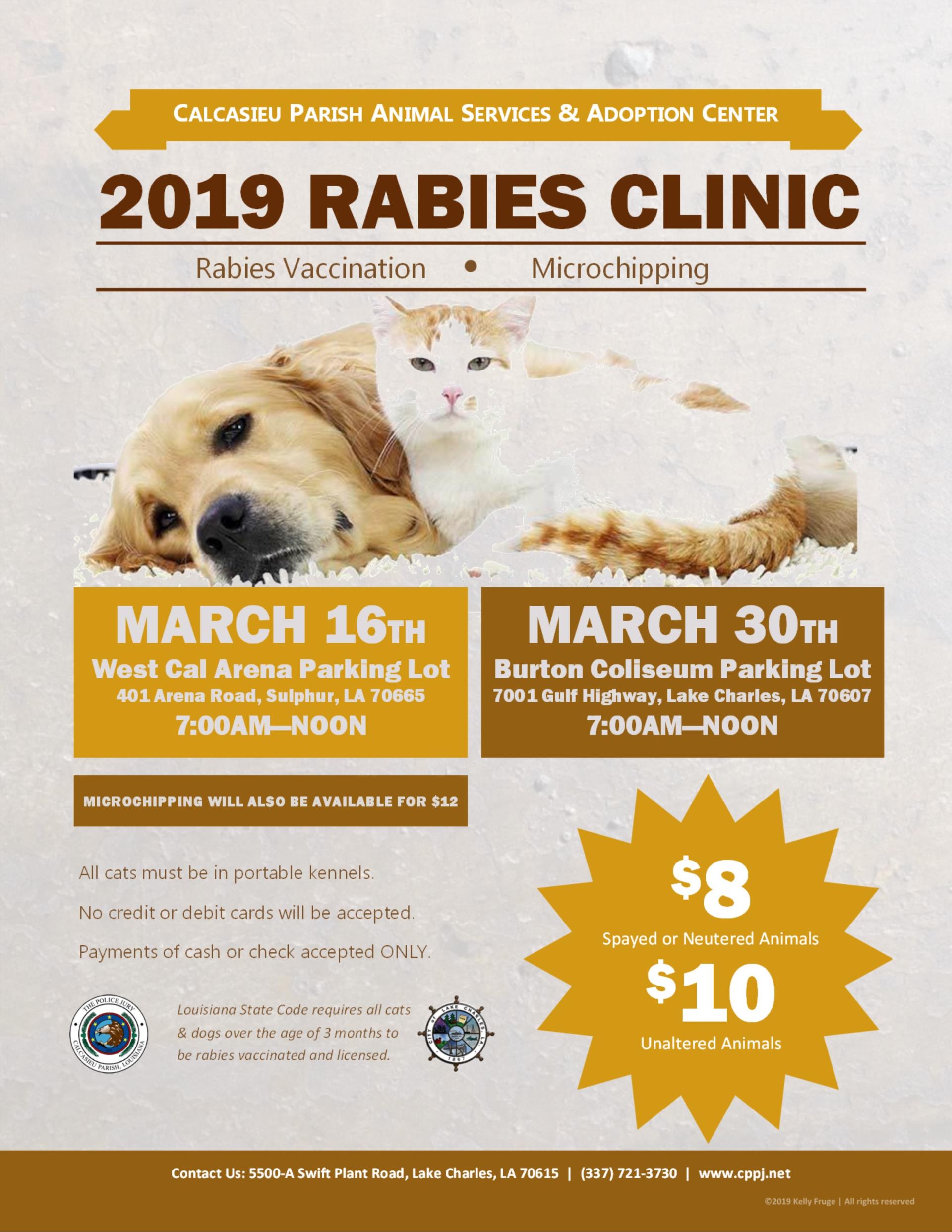 Rabies Flyer 2019