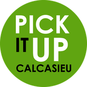 Pick It Up Calcasieu logo