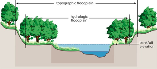 Floodplain