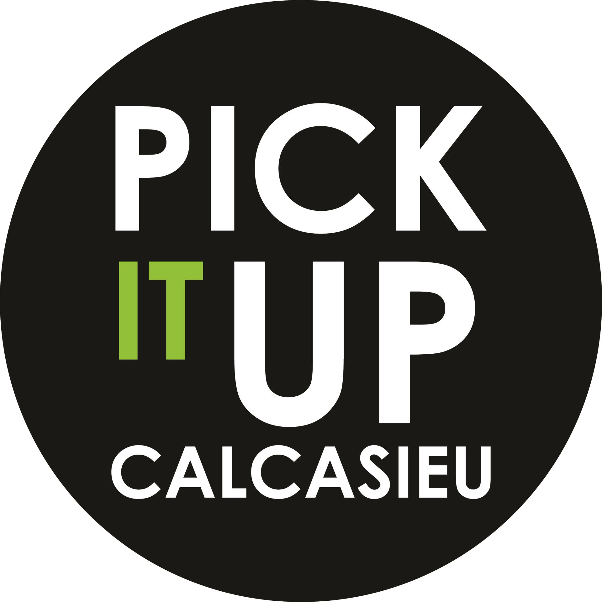 PICK IT UP LOGO_Primary