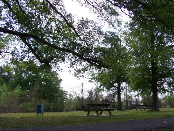 mallard junction park picnic area