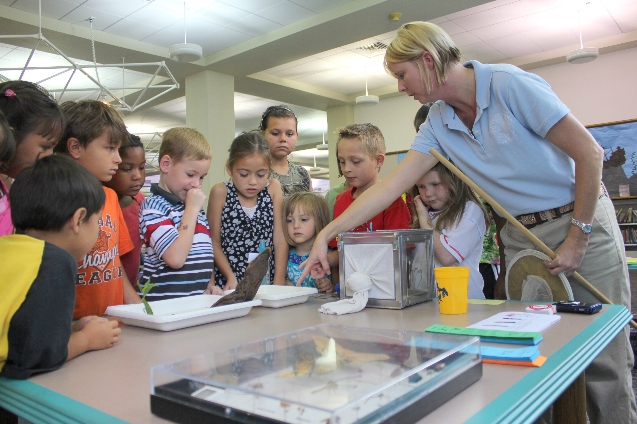 Kids View Larvae