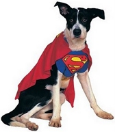 Super Dog Costume