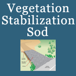 Vegetative Stabilization