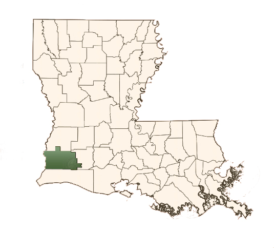 Location Of Calcasieu Parish