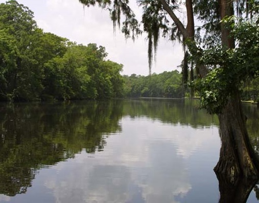 Calcasieu_River