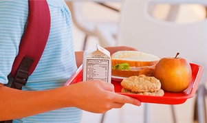 school lunch tray